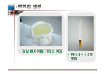 달걀 알부민의 제조-10