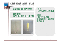 달걀 알부민의 제조-14