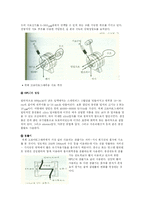 에탄올 발효 레포트-8
