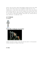 [생활체육] 헬스(Health)-5