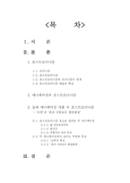 [현대예술] 애니메이션과 포스트모더니즘-2