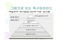 [기본간호학, 욕구이론] 욕구이론-8