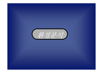 [마케팅] 스포츠 토토 마케팅기획서-3