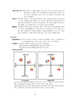 [마케팅] KFC 부산대점 상권분석 및 소매전략-8