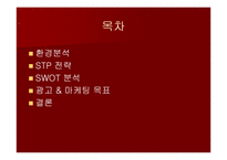 하겐다즈의 마케팅-2