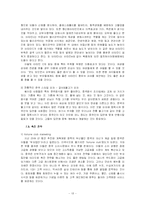[국제마케팅] 미스터피자 중국마케팅-13