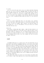 [국제마케팅] 미스터피자 중국마케팅-14