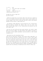 [국제마케팅] 온라인게임 리니지의 일본진출-6