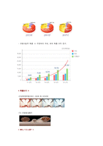 [국제마케팅전략] FEELUX 필룩스 해외진출 성공사례-4
