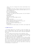 [국제마케팅전략] FEELUX 필룩스 해외진출 성공사례-5