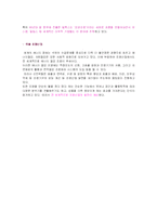 [국제마케팅전략] FEELUX 필룩스 해외진출 성공사례-7