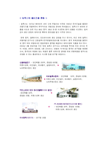 [국제마케팅전략] FEELUX 필룩스 해외진출 성공사례-10