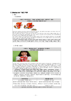 코카콜라 COKEPLAY.com의 마케팅 분석-3