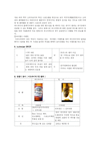 [국제마케팅] 버드와이저의 한국진출-11