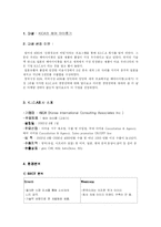 [국제마케팅 성공사례] KICA 헤어아이롱 세계 시장에서의 성공-3