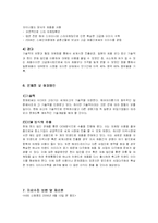[국제마케팅 성공사례] KICA 헤어아이롱 세계 시장에서의 성공-7