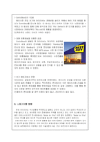 [국제마케팅] 레인콤의 아이리버 사례분석-9