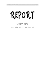 [다국적기업론] 태평양 화장품 해외 마케팅 성공 사례 및 분석-1