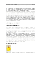 [다국적기업론] 태평양 화장품 해외 마케팅 성공 사례 및 분석-11