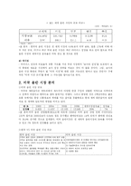 [국제마케팅] 보아의 미국 진출 전략-6