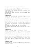 [마케팅] 빈폴 성공요인 분석 및 향후 계획 -폴로 비교-17