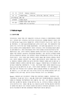 [국제기업환경론] 대상 미원의 인도네시아 진출기-6