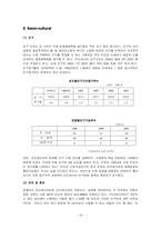 [국제기업환경론] 대상 미원의 인도네시아 진출기-18