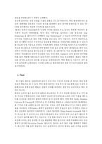 [국제 마케팅] 현대자동차 국제 마케팅 사례-18