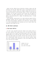 [국제마케팅] 농심 `신라면`의 중국마케팅사례-4