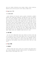 [국제마케팅] 농심 `신라면`의 중국마케팅사례-9