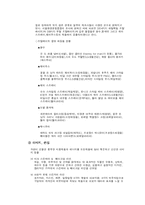 미샤 국제 마케팅-7