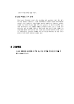 미샤 국제 마케팅-15