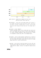 미샤 국제 마케팅-19
