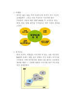 [국제마케팅] 세원텔레콤의 중국진출 실패 사례-14