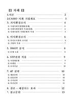 [국제마케팅] 카시오 CASIO 시계 -병행수입 문제를 중심으로-2