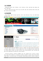 [국제마케팅] 카시오 CASIO 시계 -병행수입 문제를 중심으로-12