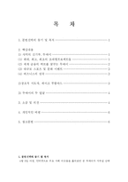 두바이 무한상상력과 창조적 리더십 -독후감-2