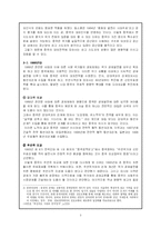 중국 국가전략 레포트-3