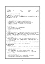 중국 국가전략 레포트-12