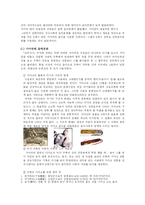 [한국음악사] 삼국시대의 음악-6