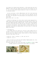 [한국음악사] 고대음악-4