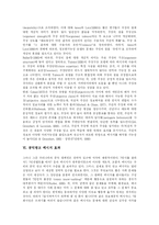 [공익광고] 각 나라별 공익광고 비교를 통한 공익광고 메시지효과 제고 방안 분석-6