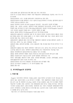 피아제(Piaget)의 성장과정과 인지발달이론의 주요개념, 발달단계 및 이론에 대한 비판-2