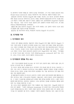 피아제(Piaget)의 성장과정과 인지발달이론의 주요개념, 발달단계 및 이론에 대한 비판-5