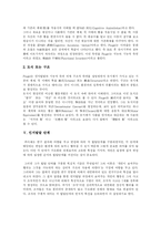 피아제(Piaget)의 성장과정과 인지발달이론의 주요개념, 발달단계 및 이론에 대한 비판-7