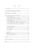 [미디어 경제] 중국 DMB 시장 산업분석-2
