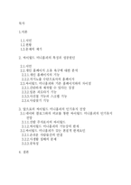 싸이월드 미니홈피의 특징과 성공원인-2