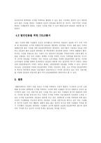 DSLR의 장단점 및 대중화 분석-8
