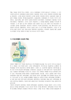 성서를 통해서 본 이스라엘-8