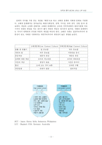 미국, 중국의 광고 가치 비교 분석-5